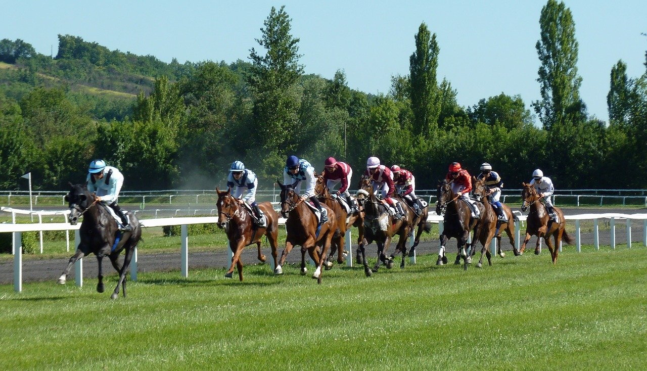 Les sites internet des hippodromes canadiens