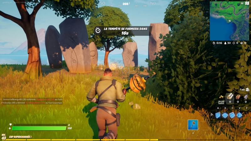 Comment faire des emotes sur TFT ?